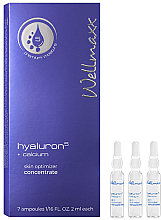 Kup Koncentrat do twarzy z wapniem - Wellmaxx Hyaluron⁵ + Calcium Skin Optimizer Concentrate