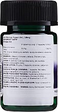 Suplement diety Żelazo o wysokim stężeniu, 18 mg - Swanson Iron Ferrous Fumarate 18 mg — Zdjęcie N2