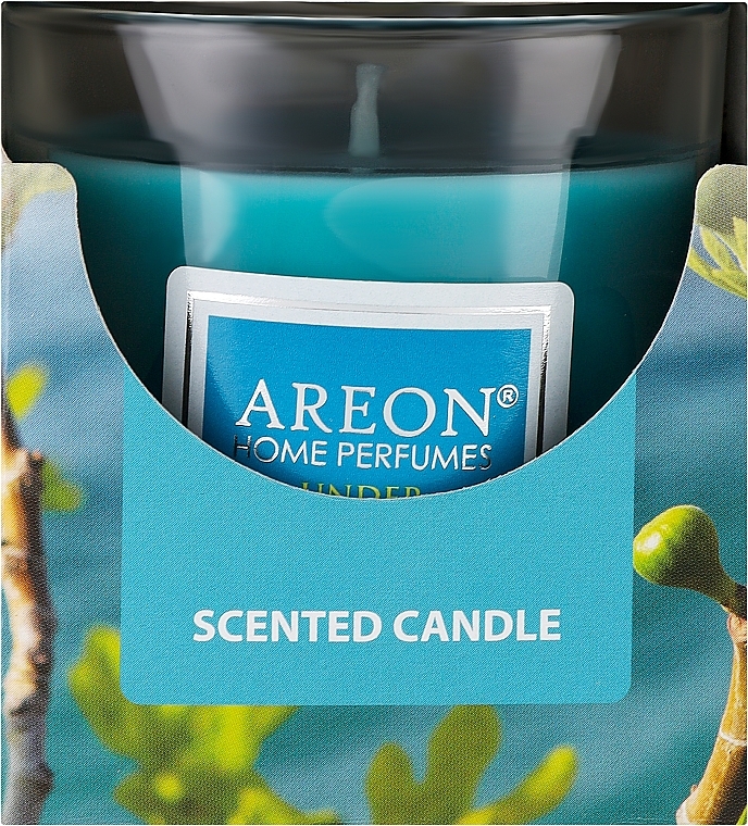Świeca zapachowa w szklance - Areon Home Perfumes Under the Mystic Tree Scented Candle — Zdjęcie N1