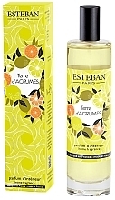 Esteban Terre D'Agrumes - Perfumowany spray do domu — Zdjęcie N1