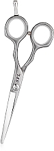 Kup Nożyczki fryzjerskie, 5,5 - SPL Professional Hairdressing Scissors 96801-55