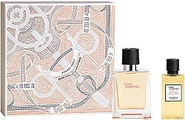 Kup Hermes Terre d’Hermes - Zestaw (edt/50ml + sh/gel/40ml)