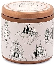 Kup Świeca zapachowa w słoiczku Cyprys i jodła - Paddywax Cypress & Fir Copper Tin Candle White With Green Toile Pattern