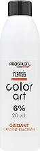 Utleniacz 6% - Prosalon Intensis Color Art Oxydant vol 20 — Zdjęcie N3
