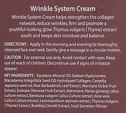 Przeciwstarzeniowy krem kolagenowy - The Skin House Wrinkle System Cream — Zdjęcie N3