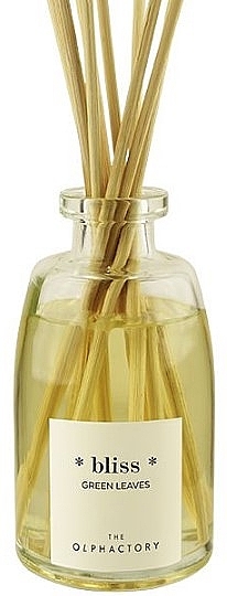 Dyfuzor zapachowy - Ambientair The Olphactory Bliss Green Leaves Fragance Diffuser — Zdjęcie N2