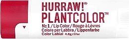 Kup Balsam do ust - Hurraw! Plantcolor Lip Balm