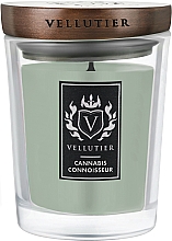 Kup Świeca zapachowa Koneser konopi - Vellutier Cannabis Connoisseur