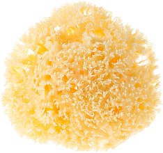Kup Naturalna morska gąbka, 9-10 cm - Najel Natural Sponge