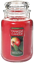 Świeca zapachowa - Yankee Candle Macintosh — Zdjęcie N1