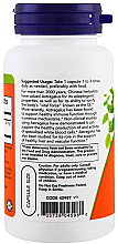 Ekstrakt z traganka w kapsułkach, 500 mg - Now Foods Astragalus Extract — Zdjęcie N2