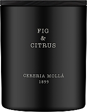 Cereria Molla Fig & Citrus - Świeca zapachowa — Zdjęcie N1