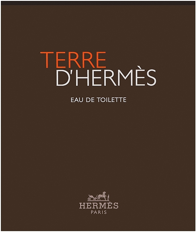 Hermes Terre d'Hermes - Zestaw (edt 100 ml + sh/gel 80 ml) — Zdjęcie N1