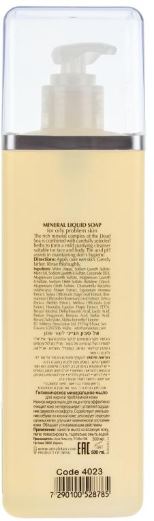 Mineralne mydło w płynie do cery tłustej i trądzikowej - Anna Lotan A-Clear Mineral Hygienic Liquid Soap — Zdjęcie N2