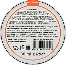 Ochronny balsam z ekstraktem z brzozy - Narodniy tselitel — Zdjęcie N4