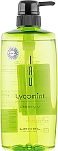 Oczyszczający szampon do włosów - Lebel IAU Lycomint Cleansing ICY — Zdjęcie N1