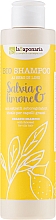 Kup Seboregulujący szampon z olejem lnianym do włosów przetłuszczających się Szałwia i limonka - La Saponaria Salvias & Limone Bio Shampoo