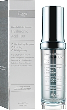 Kup Nawilżające serum do twarzy z kwasem hialuronowym - The Plant Base Waterfall Moist Balanced Hyaluronic Acid 100