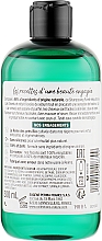 Szampon oczyszczający do włosów tłustych - Eugene Perma Collections Nature Shampoo Nutrition — Zdjęcie N2
