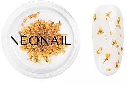 Suszone kwiaty do zdobienia paznokci - NeoNail Professional — Zdjęcie N2