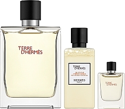 Kup Hermes Terre d’Hermes - Zestaw (edt 100 ml + sh/gel 40 ml + edt 5 ml)