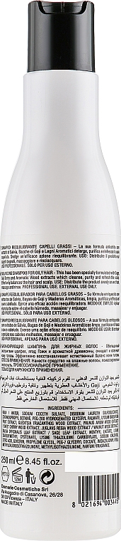 Równoważący szampon do włosów przetłuszczających się - Pura Kosmetica Pure Balance Shampoo — Zdjęcie N2