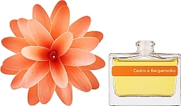 Kup Dyfuzor zapachowy - Muha Flower Cedar And Bergamot