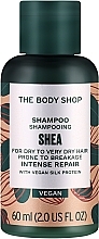 Kup Intensywnie regenerujący szampon do włosów suchych - The Body Shop Shea Intense Repair Shampoo