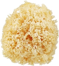 Gąbka do makijażu, żółta - Suavinex Natural Sponge Big Size 1 Units — Zdjęcie N1