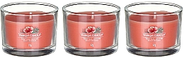 Zestaw świec zapachowych - Yankee Candle Tropical Breeze (candle/3x37g) — Zdjęcie N2