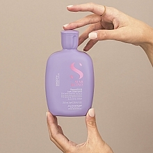 Wygładzający szampon do włosów - Alfaparf Semi di Lino Smooth Smoothing Shampoo — Zdjęcie N3