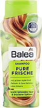 Kup Szampon do włosów, Czysta świeżość - Balea Shampoo Pure Frische