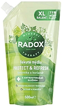 Kup Antybakteryjne mydło do rąk - Radox Protect + Refresh Hand Wash (doypack)	