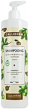 Kup Szampon do włosów z masłem shea - Calliderm Shea Butter Shampoo
