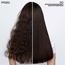 Odżywka do włosów puszących się - Redken Frizz Dismiss Conditioner — Zdjęcie N8