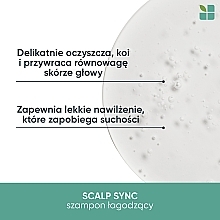 Łagodzący szampon dla suchej lub wrażliwej skóry głowy​ - Biolage Scalp Sync Calming Shampoo — Zdjęcie N3