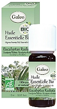 Kup Olejek eteryczny Eukaliptus australijski - Galeo Organic Essential Oil Eucalyptus Radiata