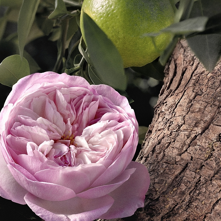 Chloé Rose Naturelle Intense - Woda perfumowana — Zdjęcie N4