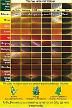 PRZECENA! Naturalna farba do włosów na bazie henny - Indus Valley Bio Organic Henna Hair Color * — Zdjęcie N5