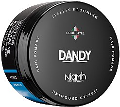 Kup Modelująca pomada do włosów i brody dla mężczyzn - Niamh Hairconcept Dandy Extreme Shine Water Pomade