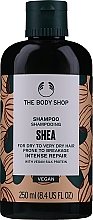 Kup Intensywnie regenerujący szampon do włosów suchych - The Body Shop Shea Intense Repair Shampoo