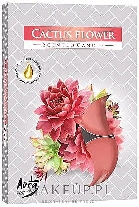 PREZENT! Zestaw podgrzewaczy zapachowych Kwiat kaktusa - Bispol Cactus Flower Scented Candles — Zdjęcie N1