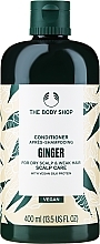 Odżywka przeciwłupieżowa - The Body Shop Ginger Anti-Dandruff Conditioner — Zdjęcie N2