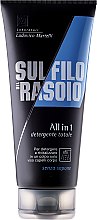 Kup Szampon do włosów i ciała - Proraso Sul Filo Del Rasoio All-in-1 Hair And Body