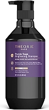 Kup Szampon rozjaśniający z fioletową szałwią - Theorie Sage Purple Sage Brightening Shampoo