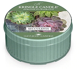Kup Podgrzewacz zapachowy - Kringle Candle Succulents DayLight Candle