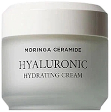 Kup Krem nawilżający do twarzy - Heimish Moringa Ceramide Hylauronic Hydrating Cream 