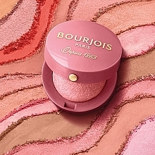 Róż do policzków - Bourjois Little Round Pot Blusher — Zdjęcie N10