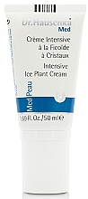 Intensywnie nawilżający krem do ciała - Dr Hauschka Intensive Ice Plant Cream	 — Zdjęcie N1