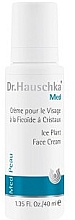 Nawilżający krem do twarzy - Dr Hauschka Ice Plant Face Care Cream — Zdjęcie N1